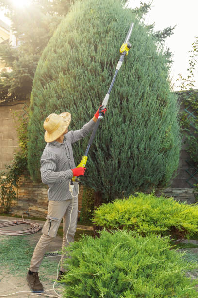 Best Pest Control for Lawns  in North Gates, NY